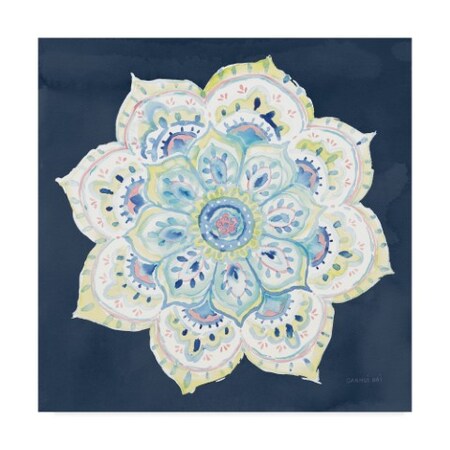 Trademark Fine Art Danhui Nai 'Jaipur Vi Navy' Canvas Art, 35x35 WAP07743-C3535GG